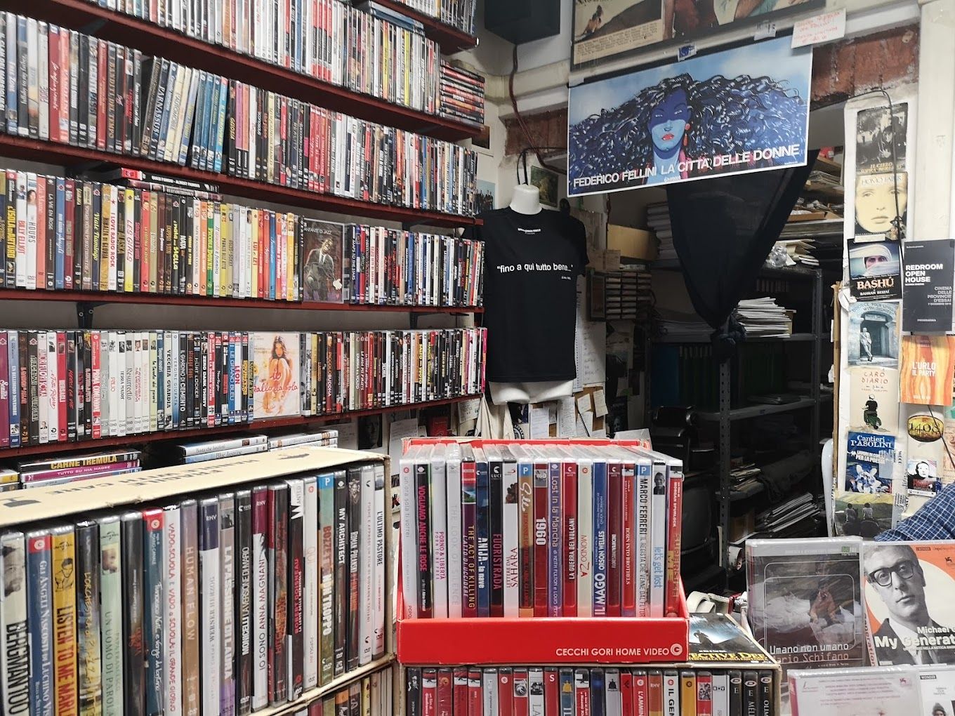 Hollywood Tutto sul Cinema